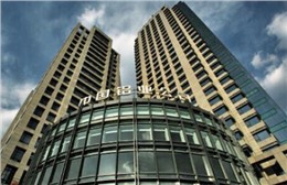 中國鋁業股份****