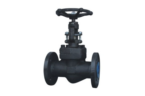 鍛鋼(gāng)截止閥 鍛鋼(gāng)截止閥