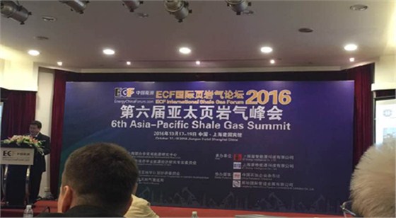 頁岩氣峰會(hui) 頁岩氣峰會