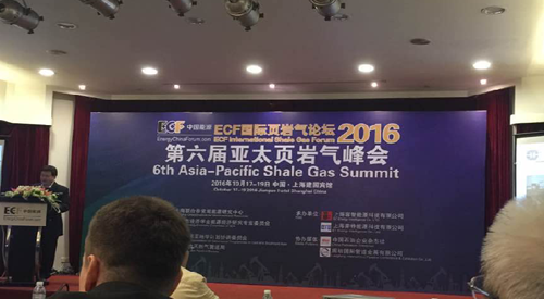 頁岩(yán)氣峰會 頁(ye)岩氣峰會(hui)