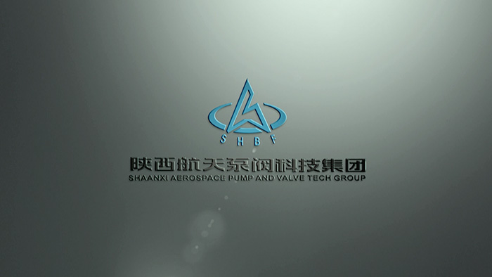 陝(shǎn)航泵閥 (1) 陝(shǎn)航泵閥 (1)