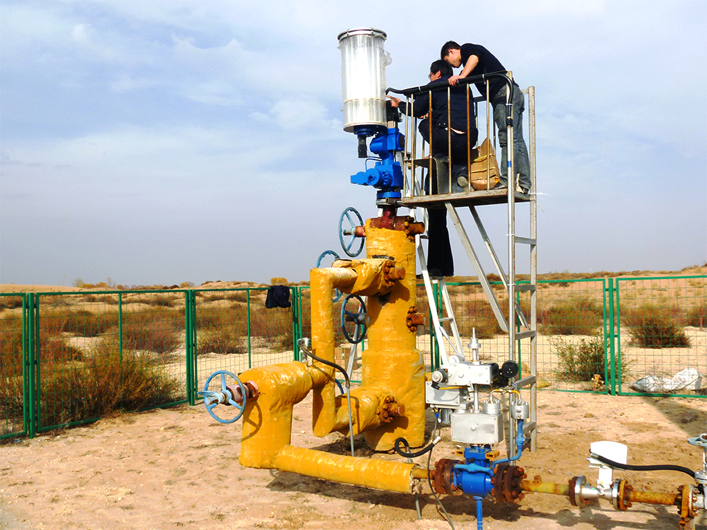 項目現(xiàn)場裝置(zhì)安裝 項(xiang)目現場(chang)裝置安(ān)裝