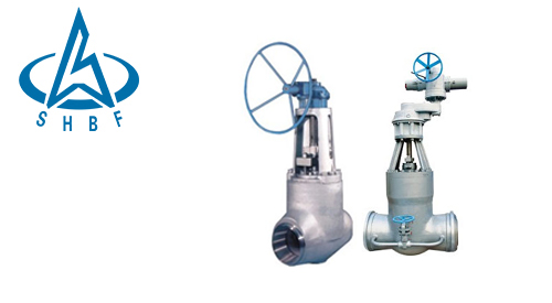 簡析電站閘(zha)閥的結構特點 簡析(xī)電站閘閥的結構(gòu)特點