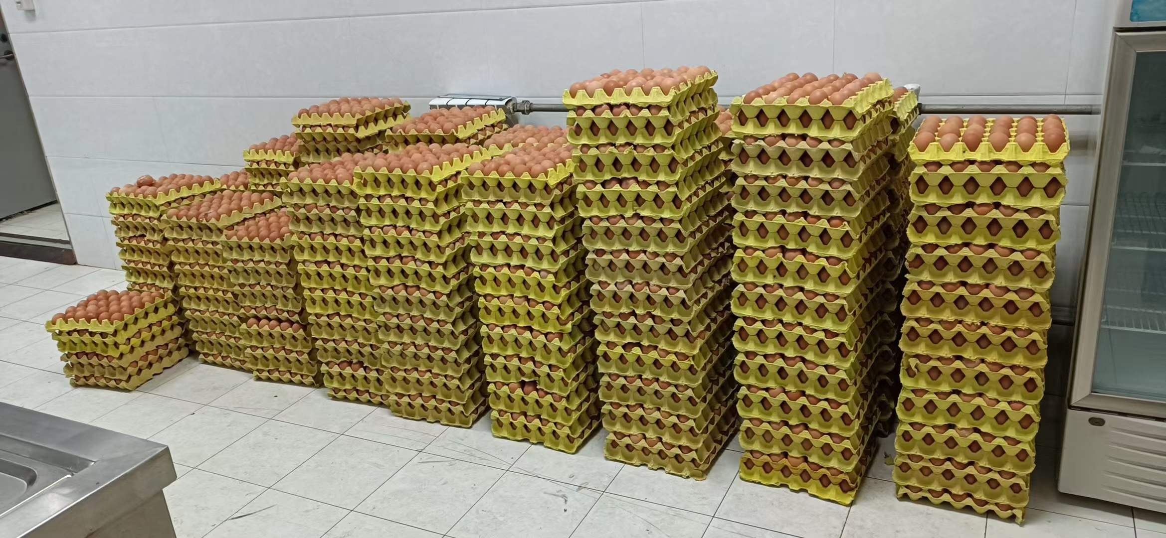 微信圖(tu)片_20211230140240 微信圖片_20211230140240